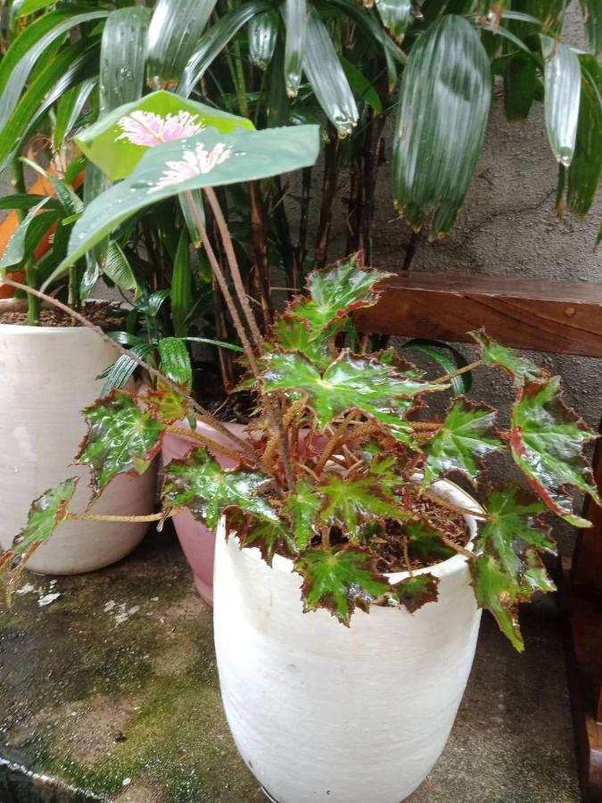 Burgos Hub Hostel Pasay Zewnętrze zdjęcie